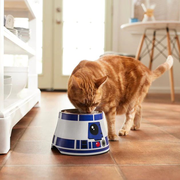 STAR WARS R2-D2 Elevated Melamine Stainless Steel Dog & Cat Bowl 4 STAR WARS R2-D2 Elevated Melamine Stainless Steel Dog & Cat Bowl - Image 4