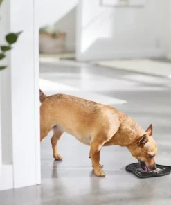 STAR WARS DARTH VADER Silicone Dog & Cat Treat Yummy Mat, Black 7 STAR WARS DARTH VADER Silicone Dog & Cat Treat Yummy Mat, Black -STAR WARS Shop 315335 PT2. SY630 V1647281635