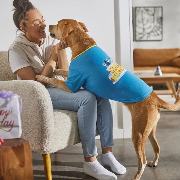 STAR WARS Happy Birthday Dog & Cat T-shirt 6 STAR WARS Happy Birthday Dog & Cat T-shirt - Image 6