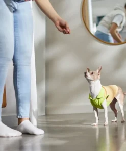 STAR WARS THE MANDALORIAN GROGU Dog & Cat Fleece Vest 11 STAR WARS THE MANDALORIAN GROGU Dog & Cat Fleece Vest -STAR WARS Shop 316118 PT8. SY630 V1646178280