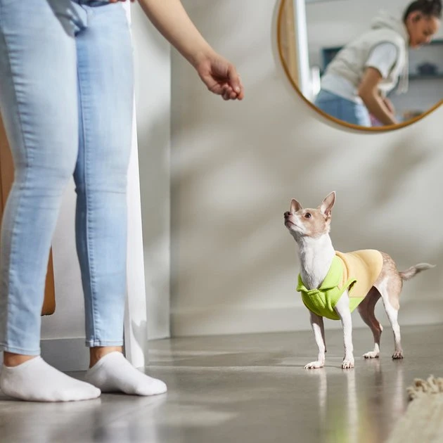 STAR WARS THE MANDALORIAN GROGU Dog & Cat Fleece Vest 6 STAR WARS THE MANDALORIAN GROGU Dog & Cat Fleece Vest - Image 6