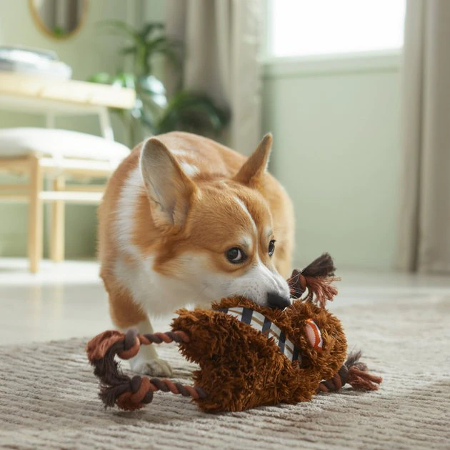 STAR WARS CHEWBACCA Plush with Rope Squeaky Dog Toy 3 STAR WARS CHEWBACCA Plush with Rope Squeaky Dog Toy - Image 3