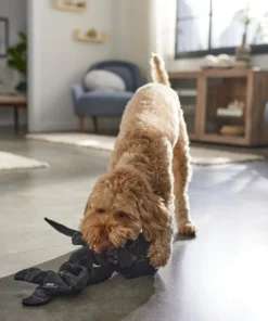 STAR WARS DARTH VADER Bungee Plush Squeaky Dog Toy -STAR WARS Shop 316378 PT3. SY630 V1645205728