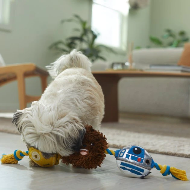 STAR WARS R2-D2, C-3PO & CHEWBACCA Plush with Rope Squeaky Dog Toy 3 STAR WARS R2-D2, C-3PO & CHEWBACCA Plush with Rope Squeaky Dog Toy - Image 3