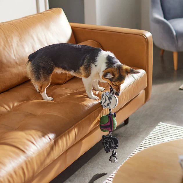 STAR WARS STORMTROOPER, BOBA FETT & DARTH VADER Plush with Rope Squeaky Dog Toy 3 STAR WARS STORMTROOPER, BOBA FETT & DARTH VADER Plush with Rope Squeaky Dog Toy - Image 3