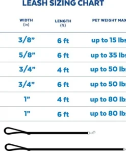 STAR WARS STORMTROOPER Collar, LG - Neck: 18 - 26-in, Width: 1-in + Dog Leash, LG - Length: 6-ft, Width: 1-in -STAR WARS Shop 319588 PT7. SY630 V1630620994