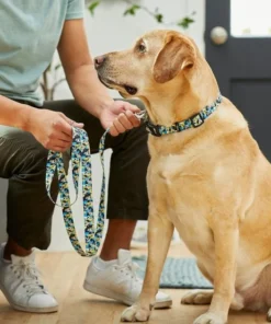 STAR WARS STORMTROOPER Collar, LG - Neck: 18 - 26-in, Width: 1-in + Dog Leash, LG - Length: 6-ft, Width: 1-in -STAR WARS Shop 319588 PT8. SY630 V1630623707