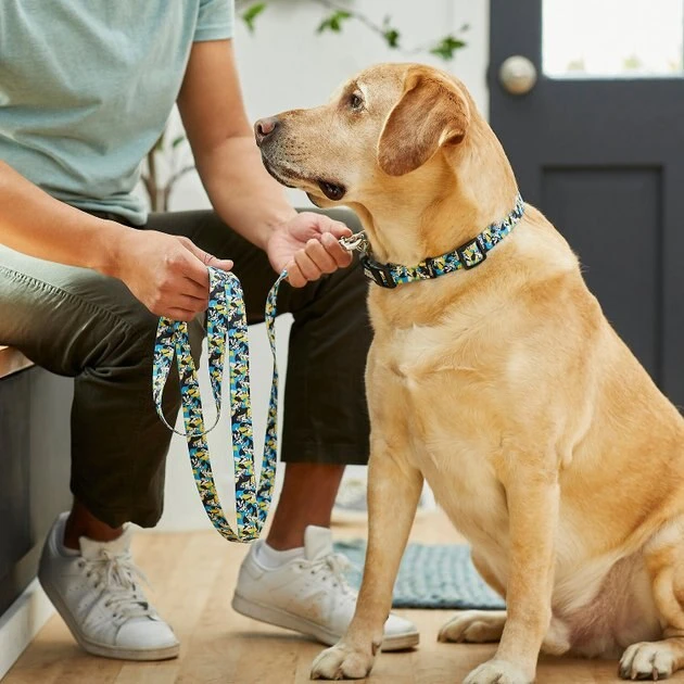 STAR WARS STORMTROOPER Collar, MD - Neck: 14 - 20-in, Width: 3/4-in + Dog Leash, MD - Length: 6-ft, Width: 3/4-in 9 STAR WARS STORMTROOPER Collar, MD - Neck: 14 - 20-in, Width: 3/4-in + Dog Leash, MD - Length: 6-ft, Width: 3/4-in - Image 9