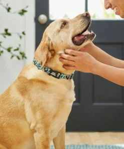 STAR WARS STORMTROOPER Collar, XS - Neck: 8 - 12-in, Width: 5/8-in + Dog Leash, SM - Length: 6-ft, Width: 5/8-in 10 STAR WARS STORMTROOPER Collar, XS - Neck: 8 - 12-in, Width: 5/8-in + Dog Leash, SM - Length: 6-ft, Width: 5/8-in -STAR WARS Shop 319594 PT4. SY630 V1630622501