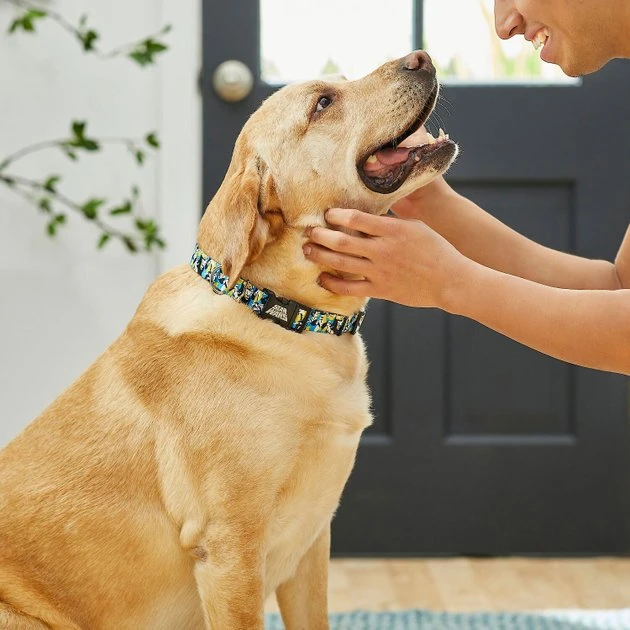 STAR WARS STORMTROOPER Collar, XS - Neck: 8 - 12-in, Width: 5/8-in + Dog Leash, SM - Length: 6-ft, Width: 5/8-in 4 STAR WARS STORMTROOPER Collar, XS - Neck: 8 - 12-in, Width: 5/8-in + Dog Leash, SM - Length: 6-ft, Width: 5/8-in - Image 4