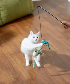 STAR WARS THE MANDALORIAN GROGU Ballistic Nylon Plush Squeaky Dog Toy + Cat Toy with Catnip 13 STAR WARS THE MANDALORIAN GROGU Ballistic Nylon Plush Squeaky Dog Toy + Cat Toy with Catnip -STAR WARS Shop 319596 PT6. SY630 V1630617384