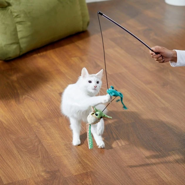 STAR WARS THE MANDALORIAN GROGU Ballistic Nylon Plush Squeaky Dog Toy + Cat Toy with Catnip 7 STAR WARS THE MANDALORIAN GROGU Ballistic Nylon Plush Squeaky Dog Toy + Cat Toy with Catnip - Image 7