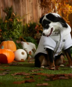 STAR WARS PRINCESS LEIA HOTH Dog & Cat Puffer Jacket -STAR WARS Shop 335219 PT8. SY630 V1657656945