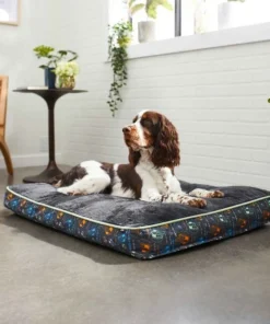 STAR WARS THE MANDALORIAN GROGU Pillow, X-Large + THE MANDALORIAN Bolster Dog & Cat Bed, Large -STAR WARS Shop 370396 PT4. SY630 V1645808214