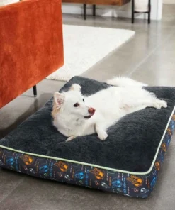 STAR WARS THE MANDALORIAN GROGU Pillow + THE MANDALORIAN GROGU Bolster Cat & Dog Bed, Large 13 STAR WARS THE MANDALORIAN GROGU Pillow + THE MANDALORIAN GROGU Bolster Cat & Dog Bed, Large -STAR WARS Shop 370398 PT4. SY630 V1645808808